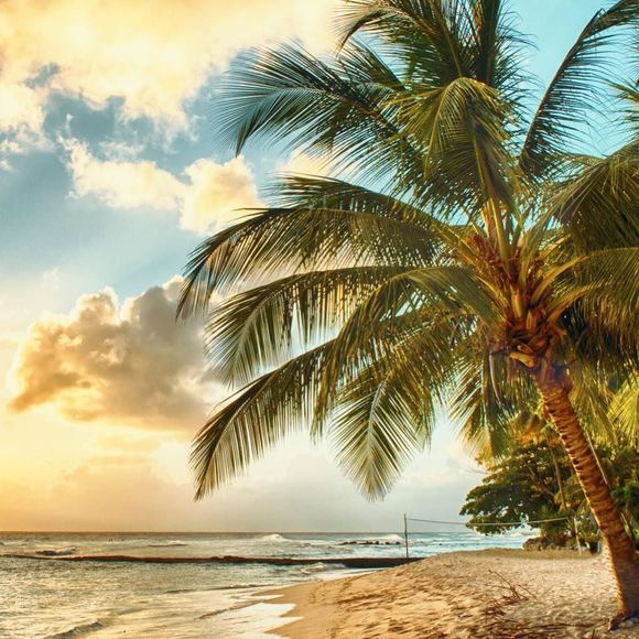 Meet your Posher, Ranbir - Picture 1 of 1